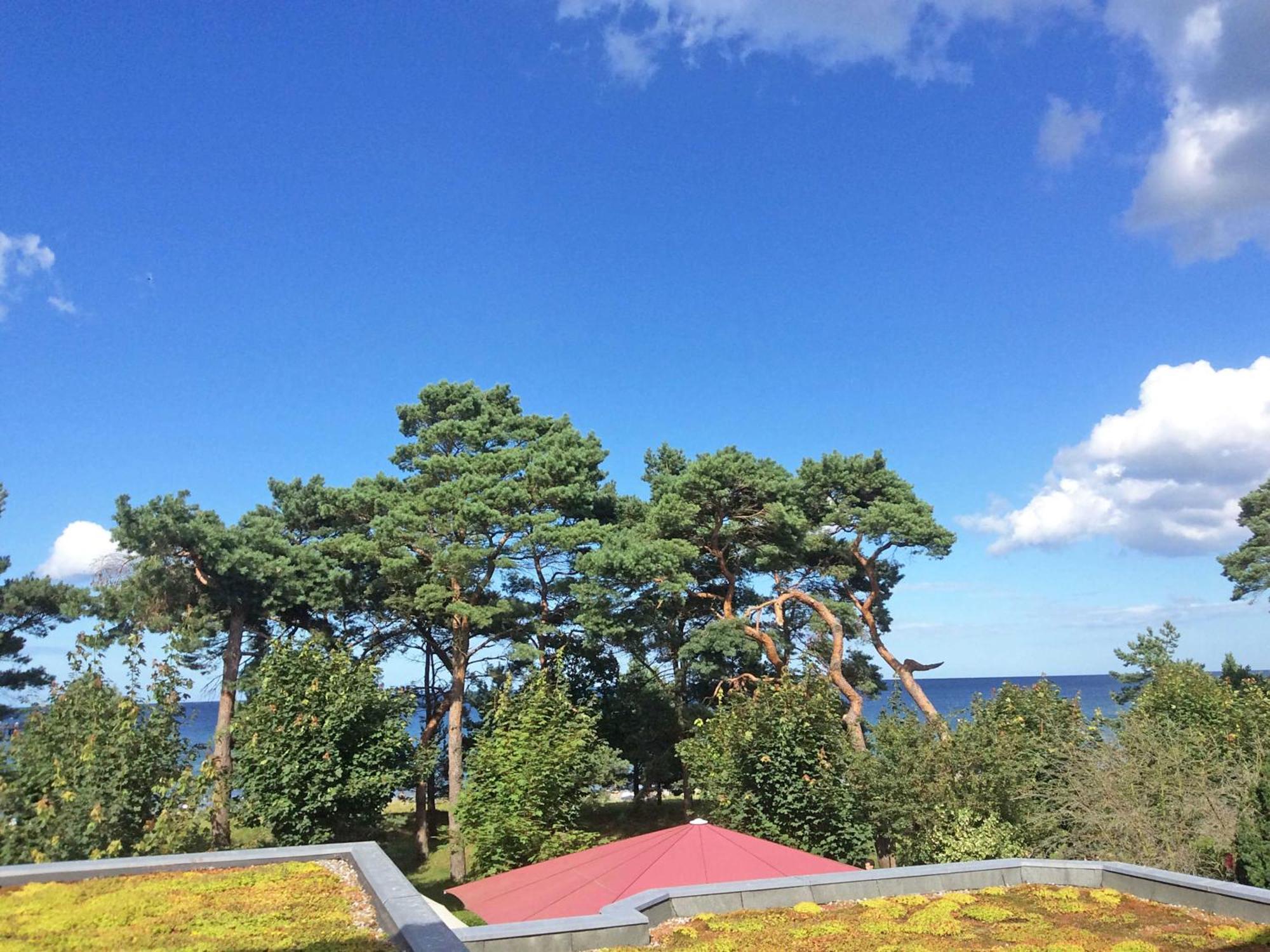 Villa Freia In Binz - Wg 11 Mit Meerblick Und Balkon Dış mekan fotoğraf